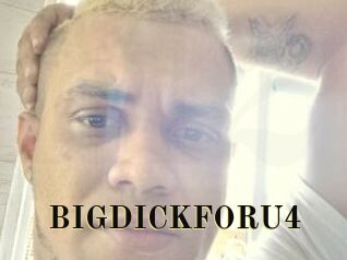 BIGDICKFORU4