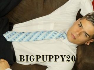 BIGPUPPY20