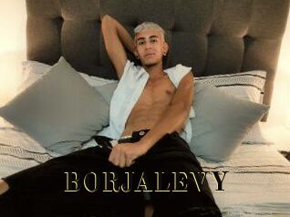 BORJALEVY