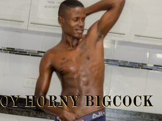 BOY_HORNY_BIGCOCK