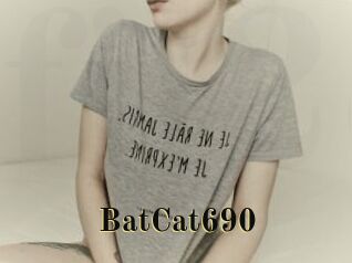 BatCat690