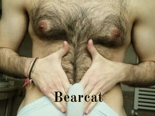 Bearcat