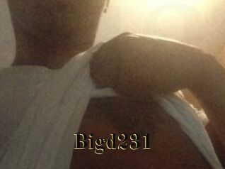 Bigd231 Films 2 Q
