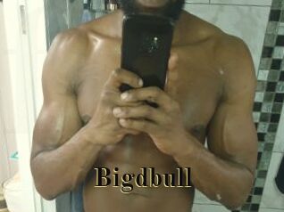 Bigdbull