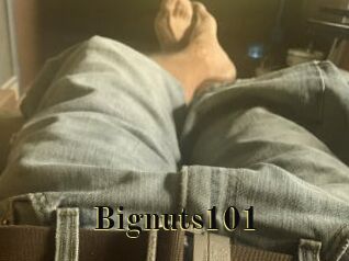 Bignuts101