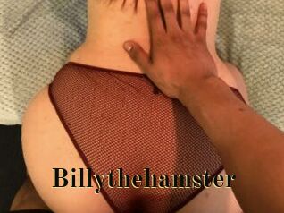 Billythehamster