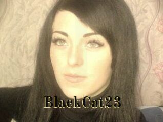 BlackCat23