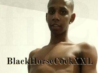 BlackHorseCockXXL