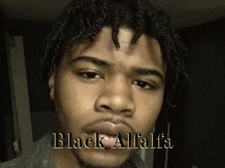 Black_Alfalfa