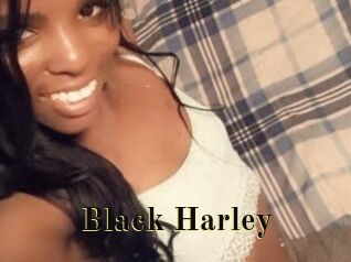 Black_Harley