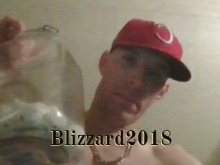 Blizzard2018