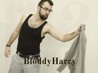 BloddyHarry Films 2 Q