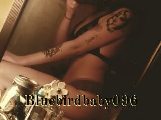 Bluebirdbaby096