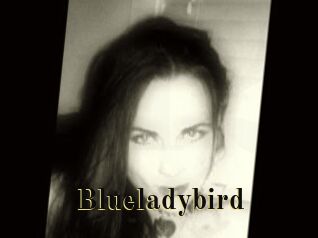 Blueladybird