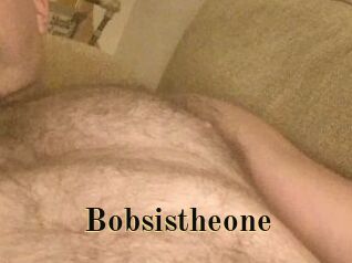 Bobsistheone