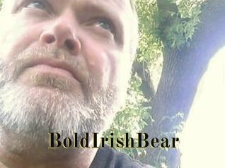 BoldIrishBear