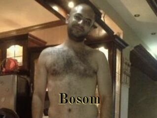Bosom
