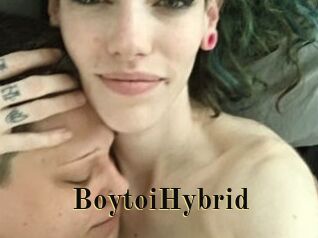 BoytoiHybrid Films 2 Q