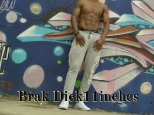 Brak_Dick11inches
