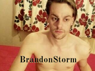 BrandonStorm