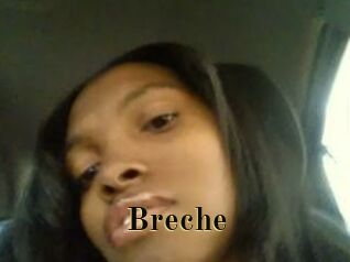 Breche