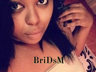 BriDsM
