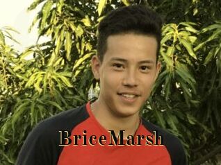BriceMarsh