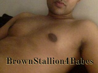 BrownStallion4Babes