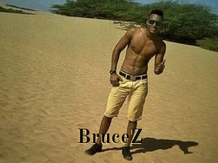 BruceZ