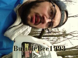 BumbleBee1993