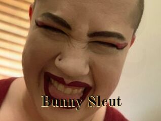 Bunny_Slcut