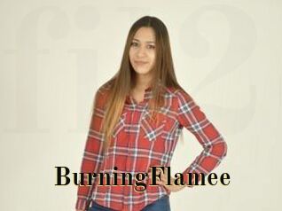 BurningFlamee
