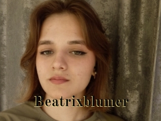 beatrixblumer Films 2 Q