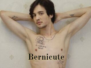 Bernicute