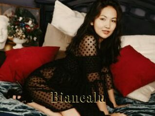 biancalu Films 2 Q