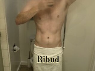Bibud