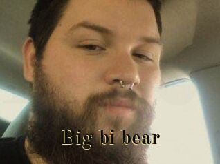Big_bi_bear