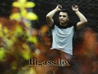 Bigassalex
