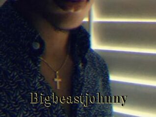 Bigbeastjohnny