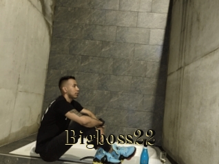Bigboss22