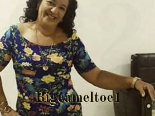 Bigcameltoe1