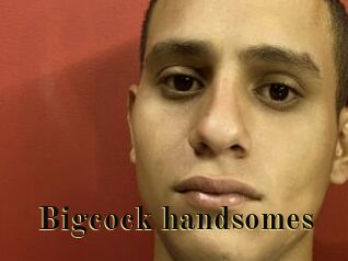 Bigcock_handsomes