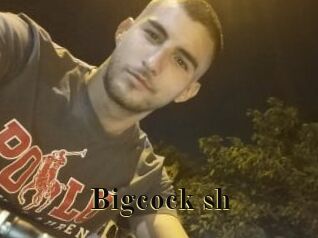 Bigcock_sh