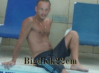 Bigdick22cm