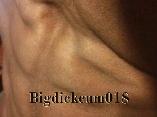 Bigdickcum018