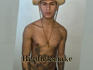 Bigdicksnake