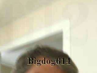 Bigdog614