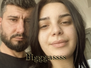 bigggassss Films 2 Q