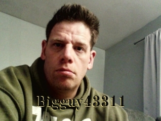 Bigguy43311