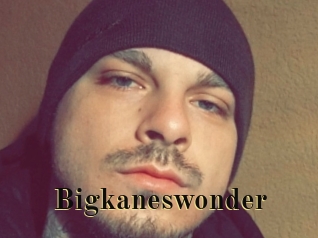 Bigkaneswonder